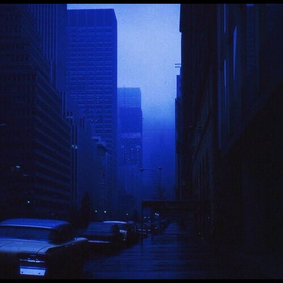 Meet your Posher, Casey - Picture 3 of 4